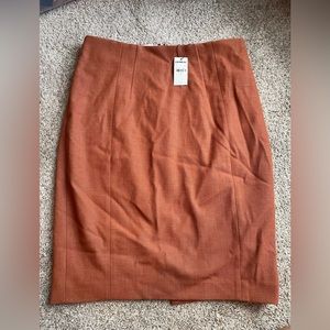Express Pencil Skirt